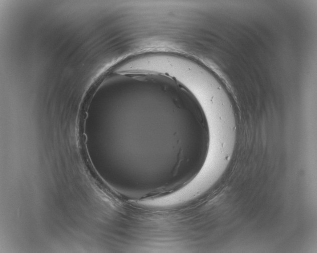 X0000061150391200512022320