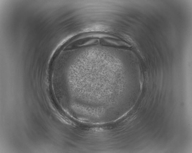 X0000061150392200512022320