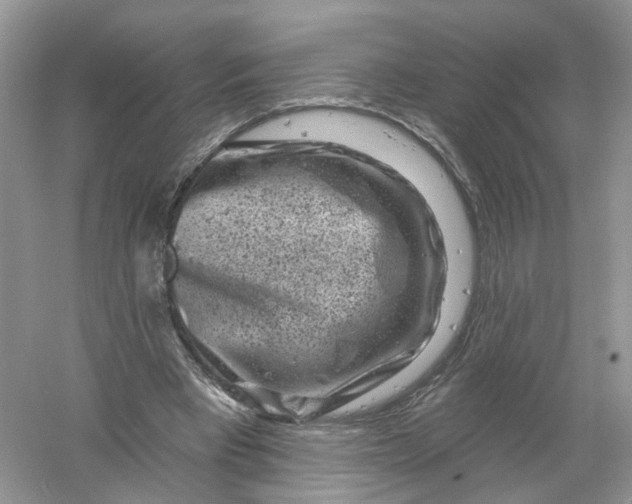 X0000061150393200512022320