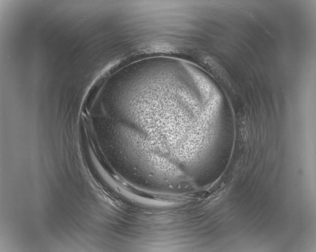 X0000061150395200512022320