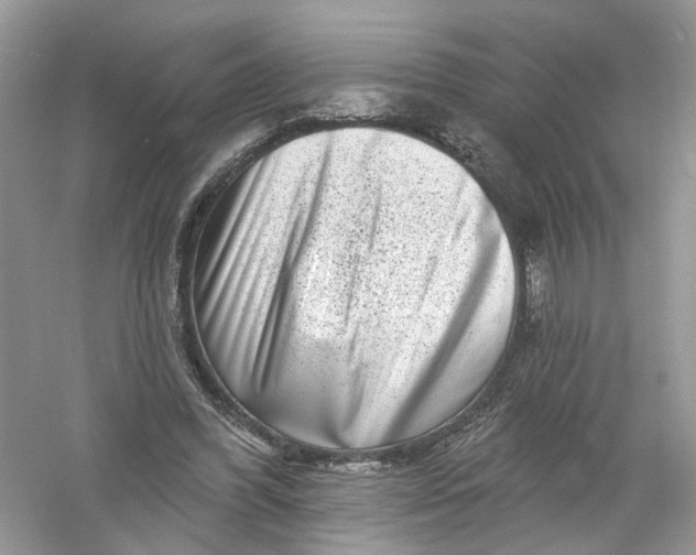 X0000061150396200512022320