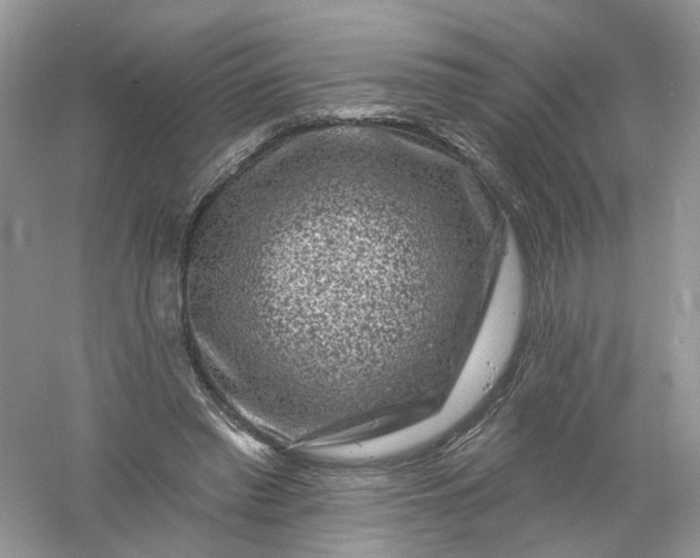 X0000061150397200512022320