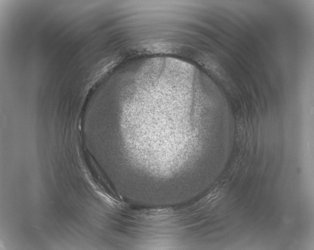 X0000061150398200512022320