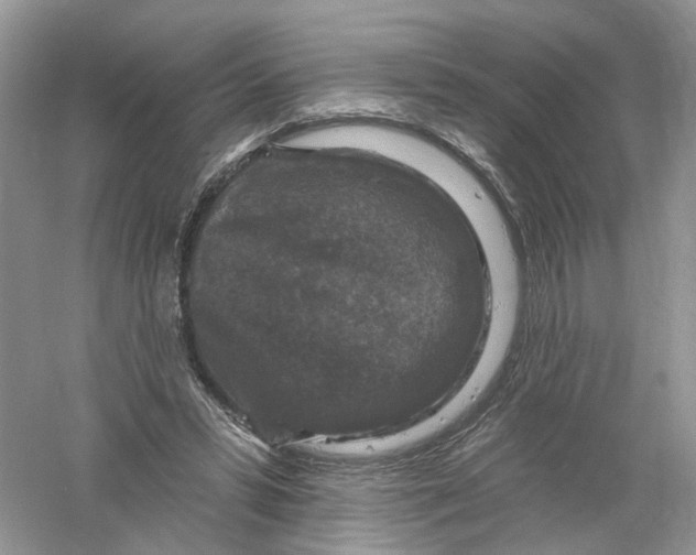 X0000061150399200512022320