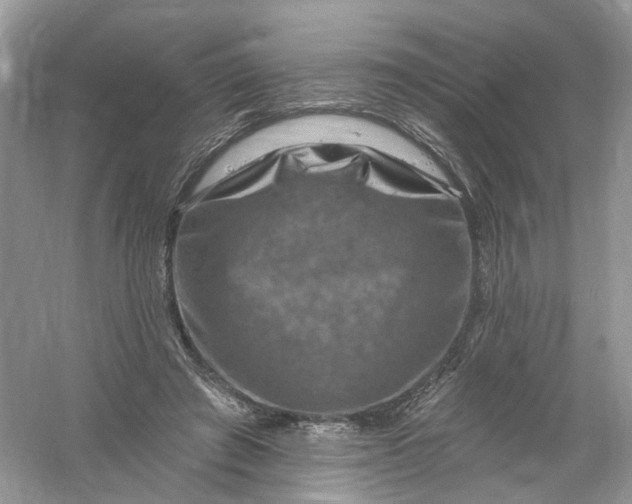 X0000061150401200512022320