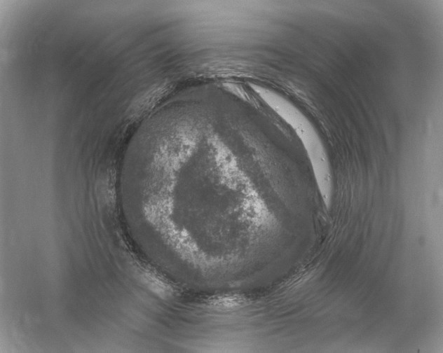 X0000061150402200512022320