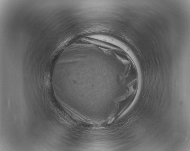 X0000061150403200512022320