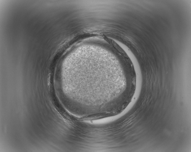 X0000061150404200512022320