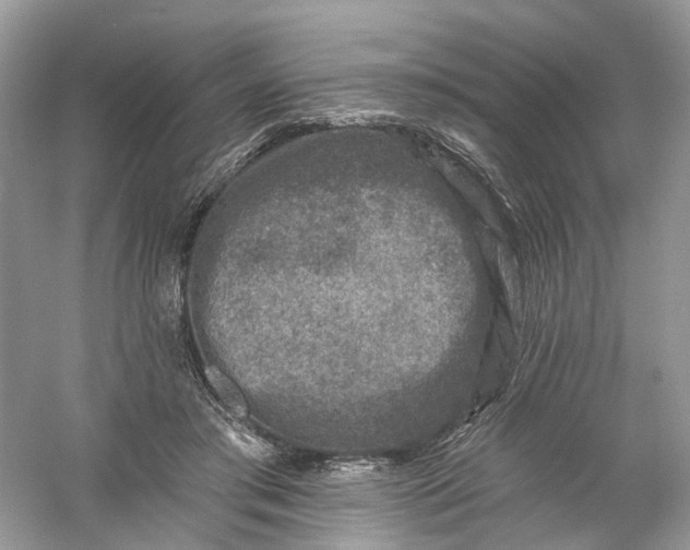 X0000061150405200512022320