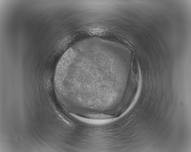 X0000061150408200512022320