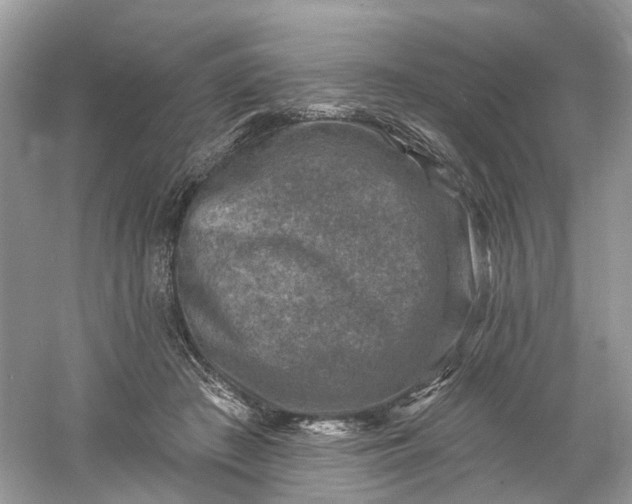 X0000061150409200512022320