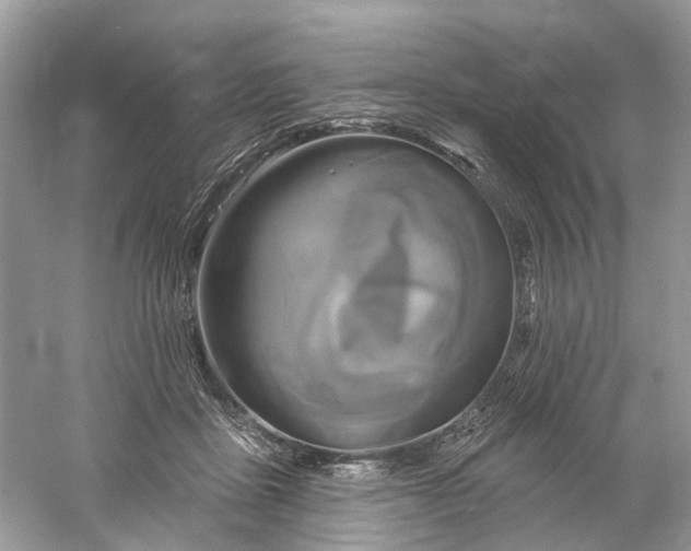 X0000061150411200512022320