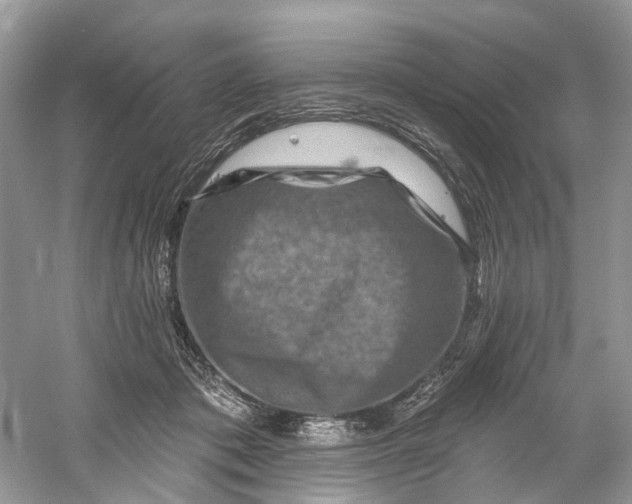 X0000061150413200512022320