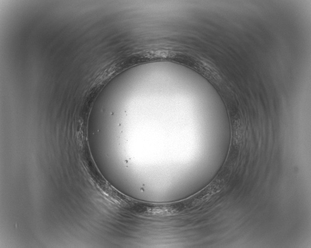 X0000061150414200512022320