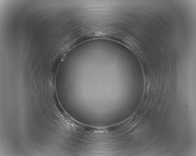 X0000061150415200512022320