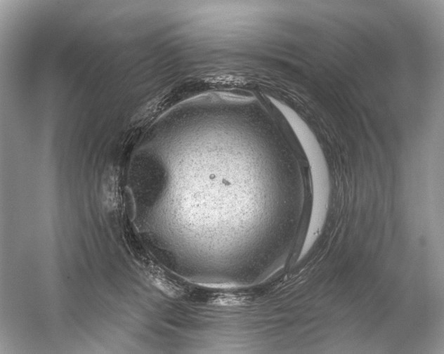 X0000061150416200512022320