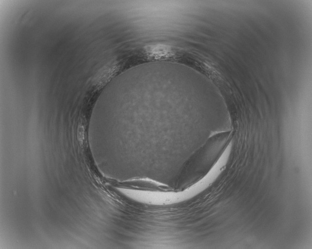 X0000061150417200512022319