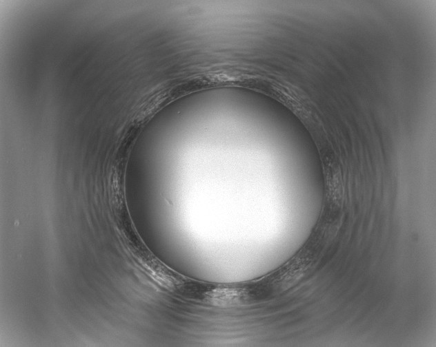 X0000061150418200512022319