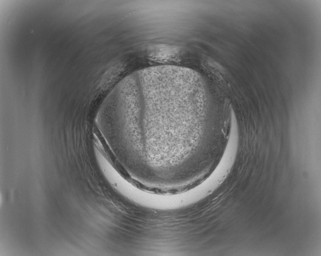 X0000061150420200512022319