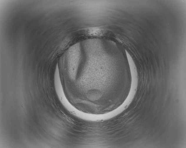 X0000061150424200512022319