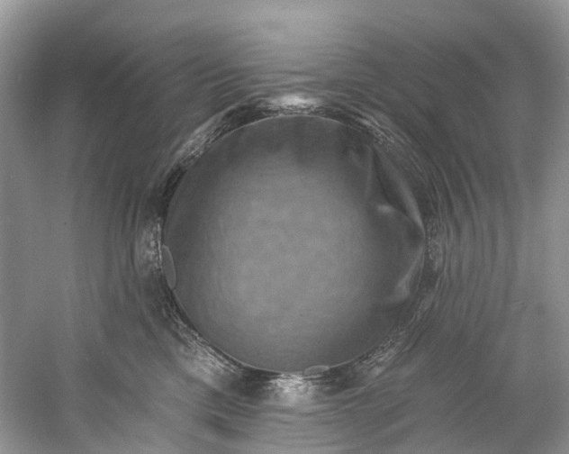 X0000061150425200512022319