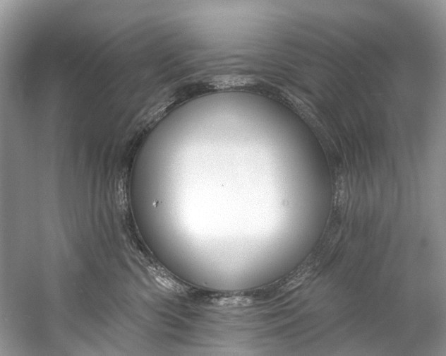 X0000061150426200512022319