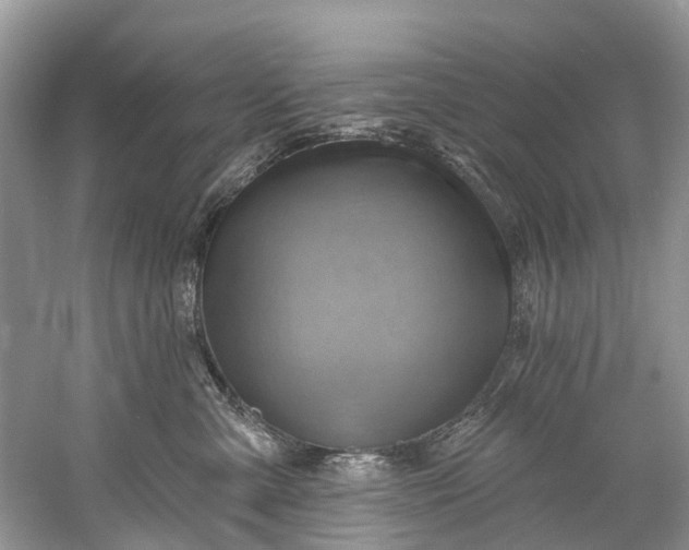 X0000061150427200512022319