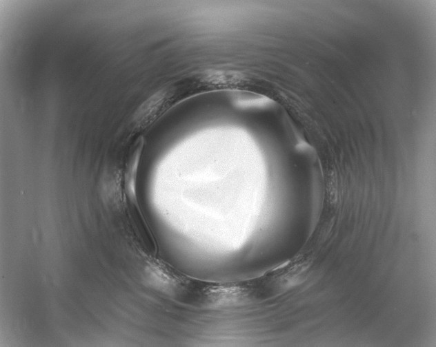 X0000061150428200512022319