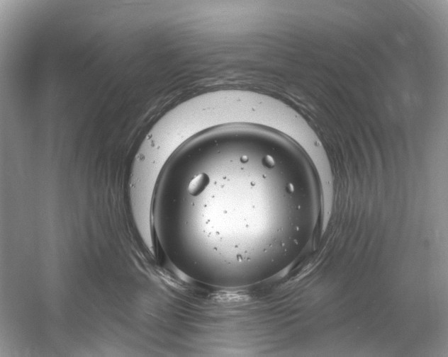 X0000061150429200512022319