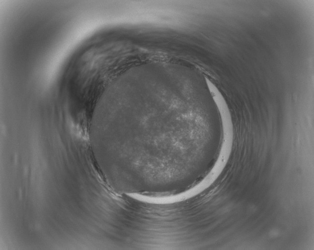 X0000061150431200512022319