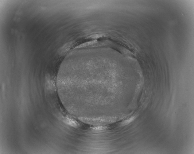 X0000061150432200512022319