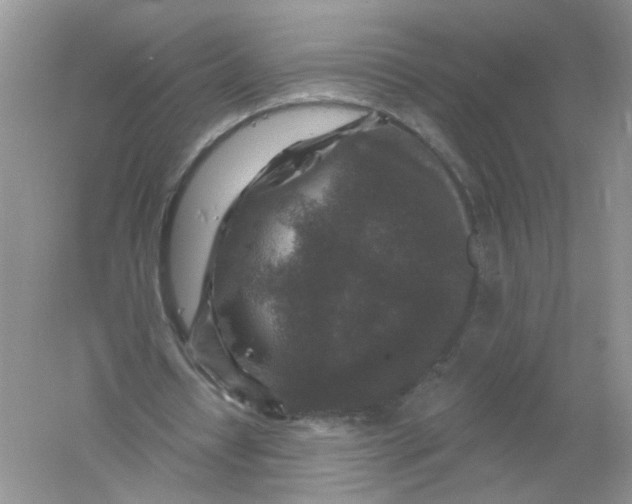 X0000061150434200512022318