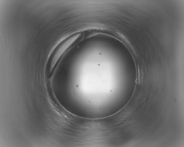 X0000061150435200512022318