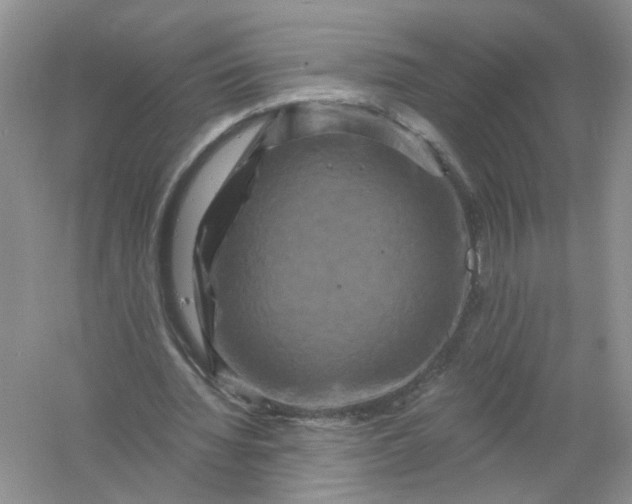 X0000061150436200512022318