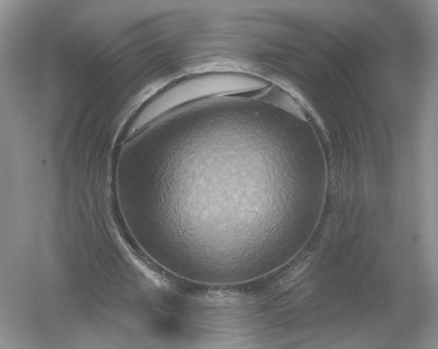 X0000061150437200512022318