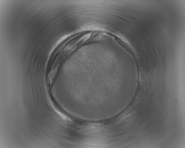 X0000061150438200512022318