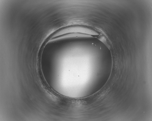 X0000061150439200512022319