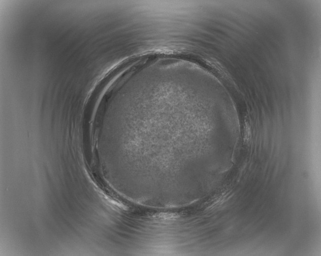 X0000061150444200512022319