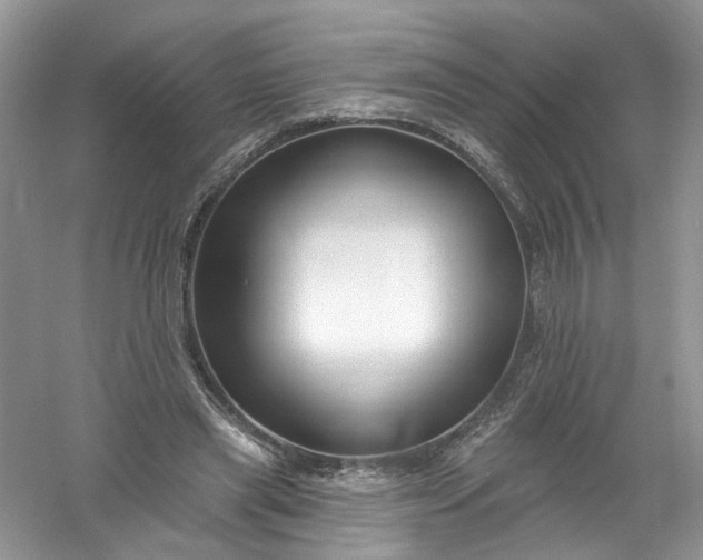 X0000061150445200512022319