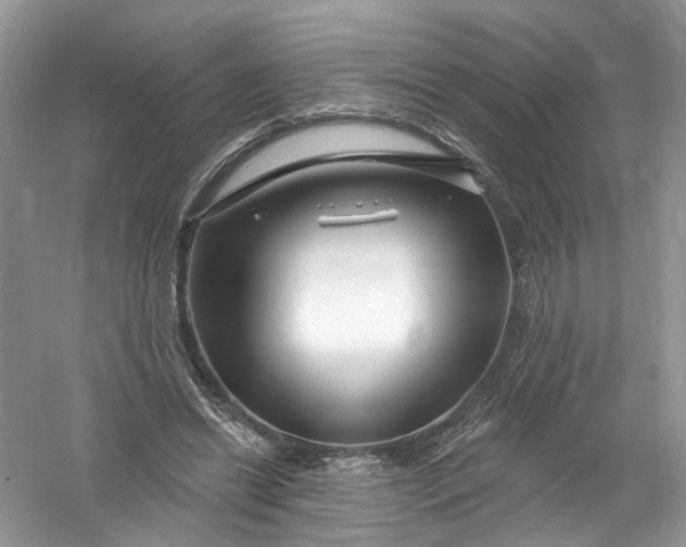 X0000061150446200512022319