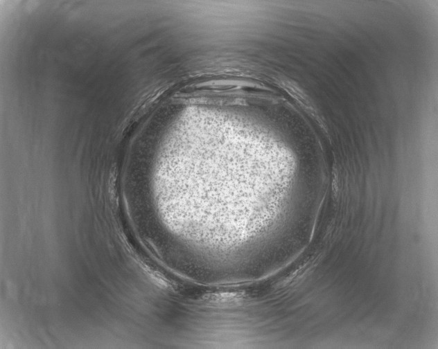 X0000061150449200512022319