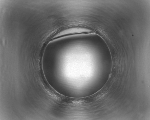 X0000061150450200512022319