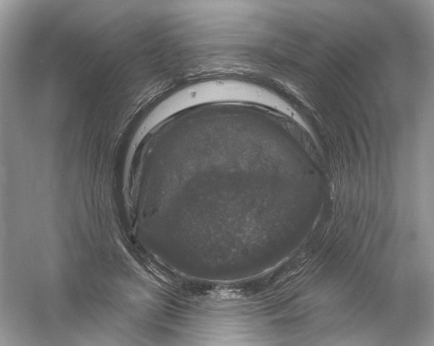 X0000061150451200512022319