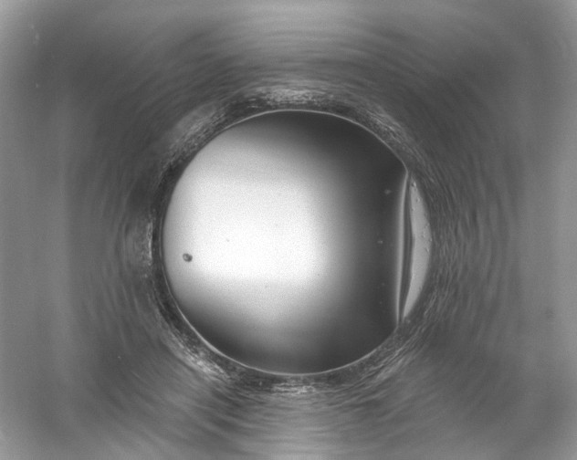 X0000061150454200512022319