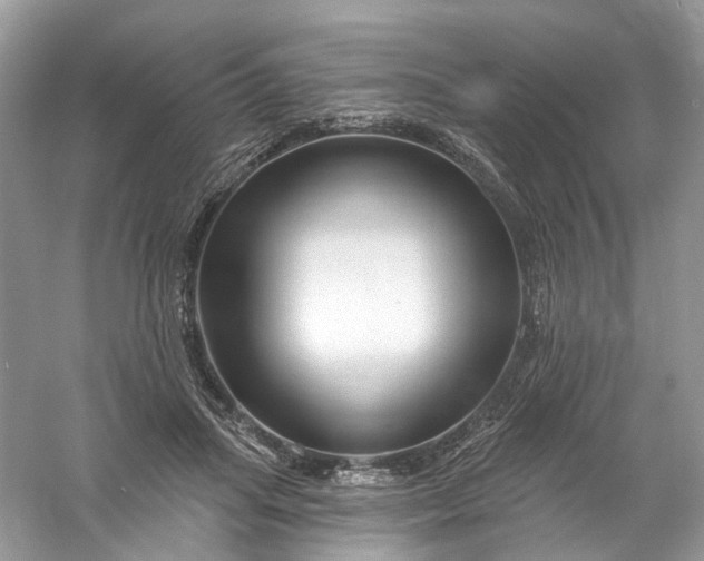 X0000061150455200512022319