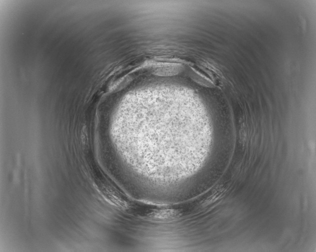 X0000061150459200512022319