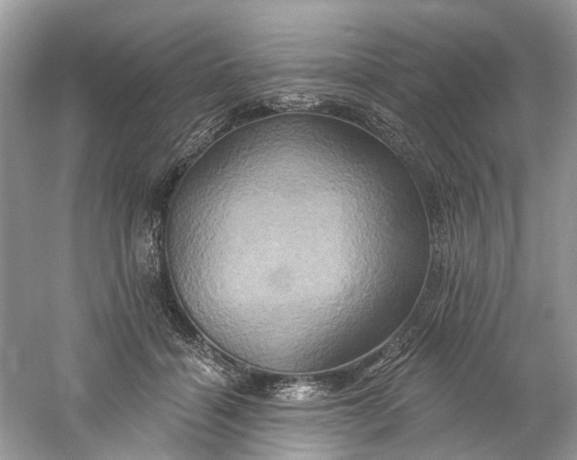 X0000061150460200512022319