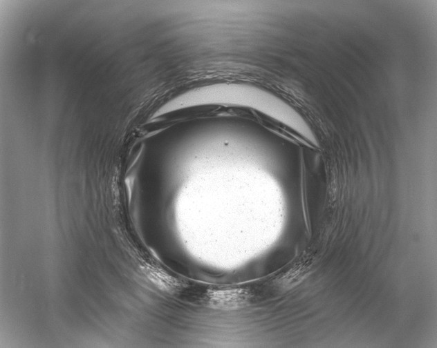 X0000061150461200512022319