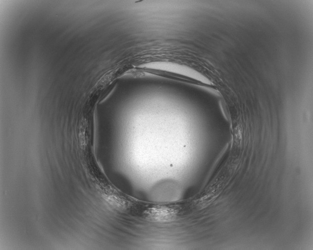 X0000061150464200512022319