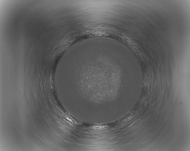 X0000061150465200512022319